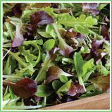 Organic lettuce mix