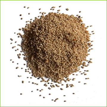 Poppy Seed (organic) 1kg