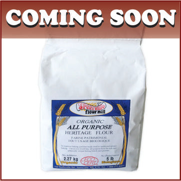 Organic all purpose flour